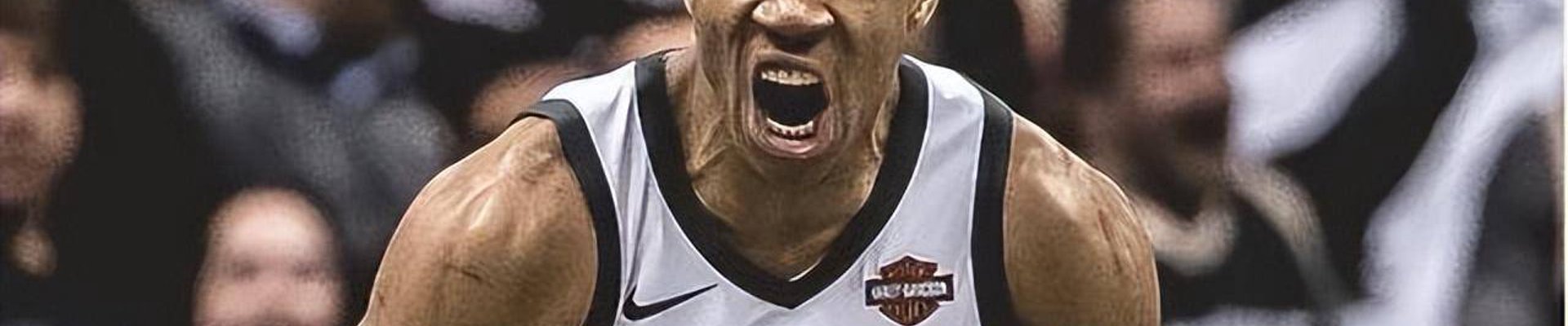关于Bsports